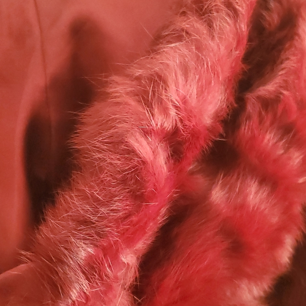 Ashley Stewart Red Teddy Jacket with Plush Faux Fur and hood - Picture 12 of 14